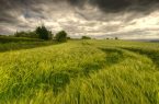 کشاورزان هشدارهای هواشناسی را جدی بگیرند