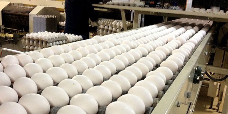 تخلف سوپرمارکت‌ها در فروش تخم‌مرغ