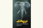 کتاب «فیل در تاریکی: ماجرای بانکداری دیجیتال»