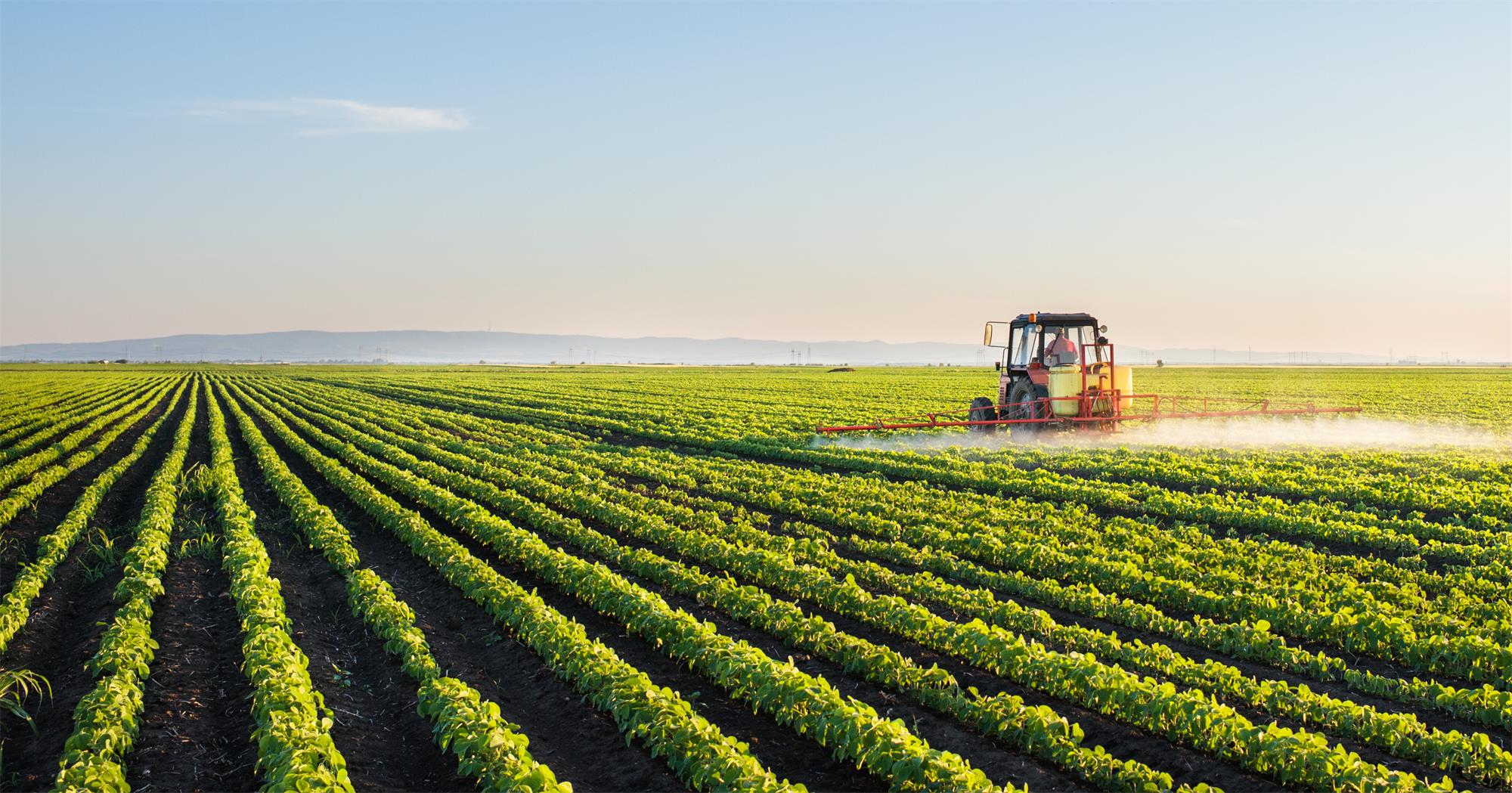 کاهش هزینه‌های تولید محصولات کشاورزی با یکپارچه‌سازی اراضی