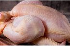 افزایش ۳۰۰ درصدی بهای مرغ در دو سال