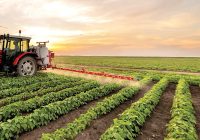 همکاری‌های کشاورزی ایران و ازبکستان گسترش می‌یابد