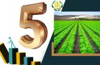 افزایش ۵ برابری محصولات کشاورزی با تولید سالیانه ۱۲۵ میلیون تن
