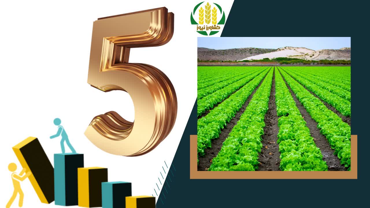 افزایش ۵ برابری محصولات کشاورزی با تولید سالیانه ۱۲۵ میلیون تن